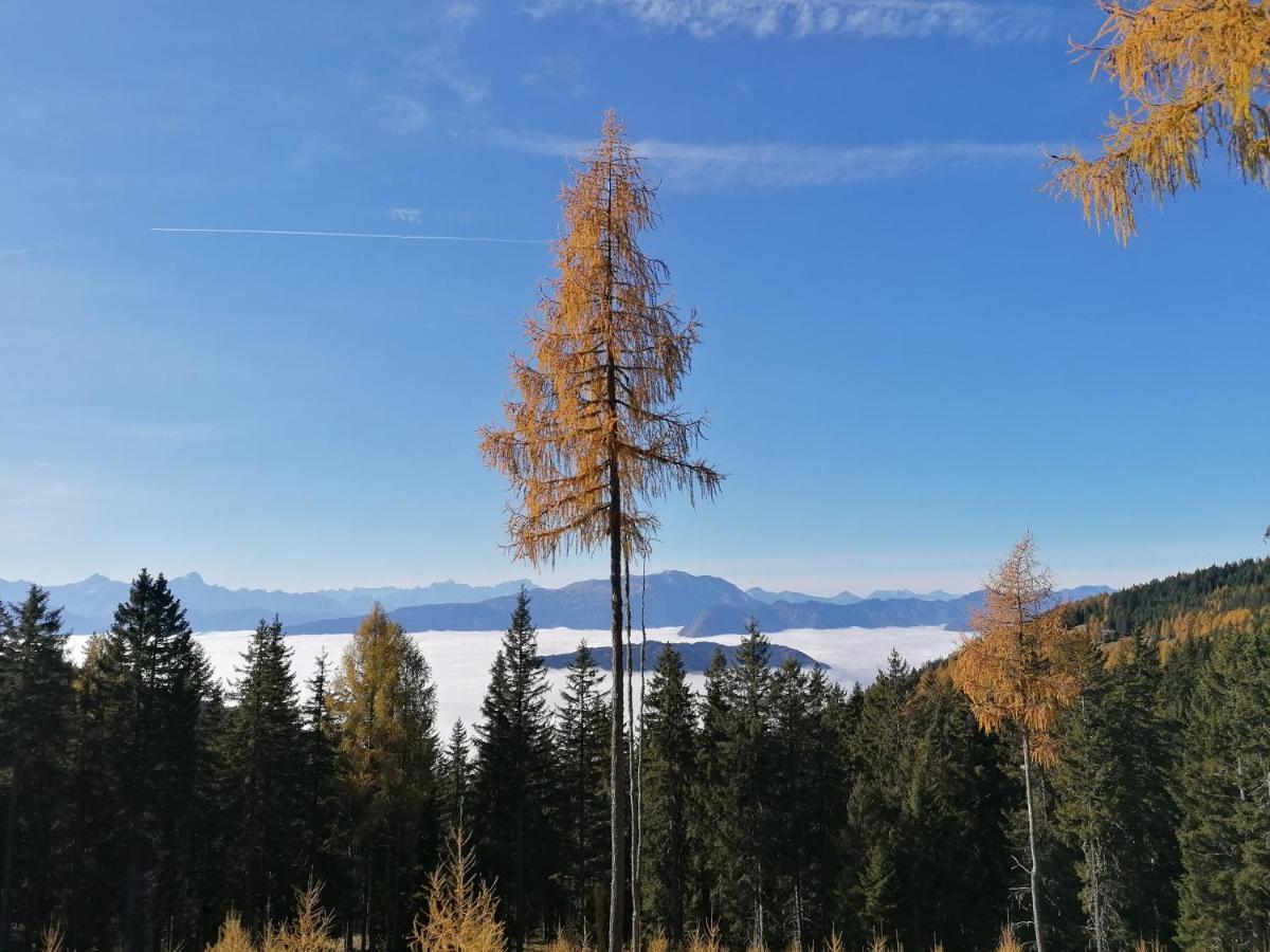 Gerlitzen Ferienappartement Paul Im Ski- Und Wandergebiet, Kanzelhoehe, Ossiacher See Deutschberg Eksteriør billede